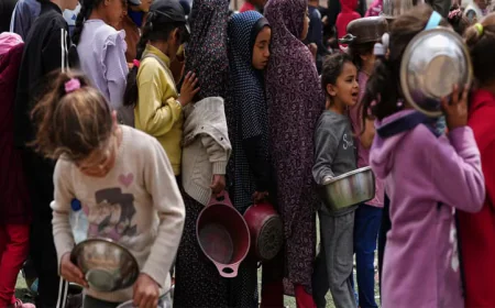 গাজায় ভয়াবহ দুর্ভিক্ষ, শতাধিক এনজিওর সতর্কতা