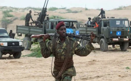 সোমালি সেনাবাহিনী ও আঞ্চলিক বাহিনীর মধ্যে সংঘর্ষে নিহত ৫