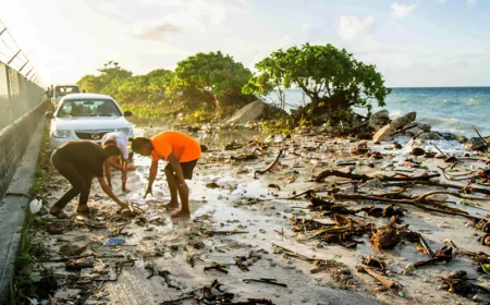 জলবায়ু পরিবর্তনের ক্ষতিপূরণের জন্য এক দেশের বিরুদ্ধে মামলা করতে পারবে অন্য দেশ
