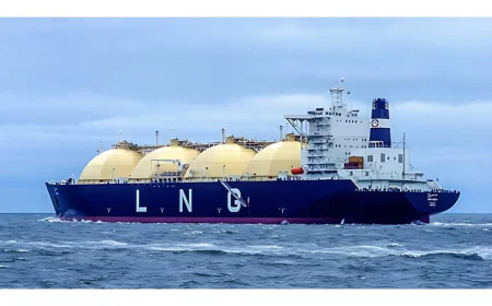 সরকার ২ কার্গো এলএনজি কিনবে
