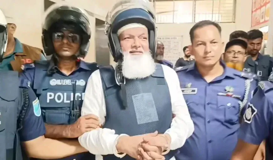 সাত দিনের রিমান্ডে সাবেক এমপি ফয়সাল বিপ্লব