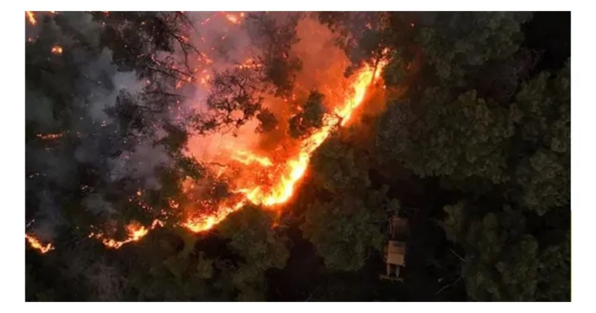 ভয়াবহ দাবানলের কারণে বাসিন্দাদের সরিয়ে নিয়েছে সিরিয়ার কর্তৃপক্ষ