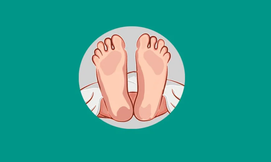 চুয়াডাঙ্গায় ট্রেনে কাটা পড়ে অজ্ঞাত ব্যক্তির মৃত্যু