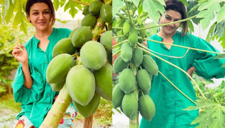 পেঁপের বাগানে জয়া, লিখলেন সুখের কথা