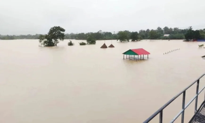 বন্যা ও অতিবৃষ্টি: ২১ জেলায় ৭২০৭৬ হেক্টর ফসলি জমি তলিয়ে গেছে