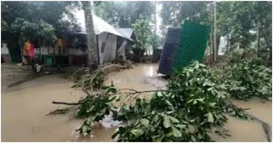 বন্যায় বারবার ভেসে যায় স্বপ্ন, টেকসই বাঁধ চায় ফেনীবাসী