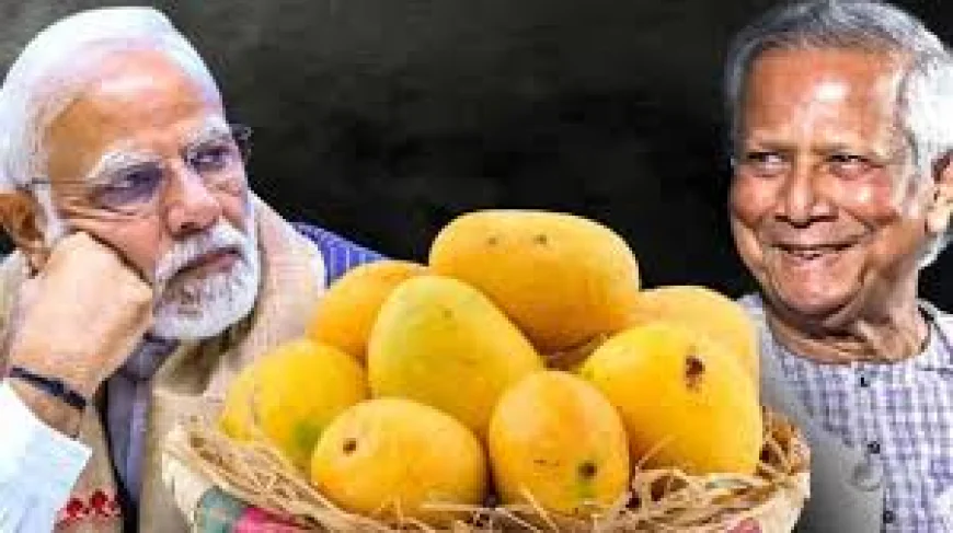 শুভেচ্ছা উপহার হিসেবে মোদিকে আম পাঠাচ্ছেন প্রধান উপদেষ্টা