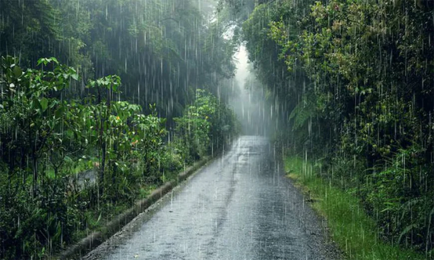 সারাদেশে হালকা থেকে মাঝারি বৃষ্টির সম্ভাবনা