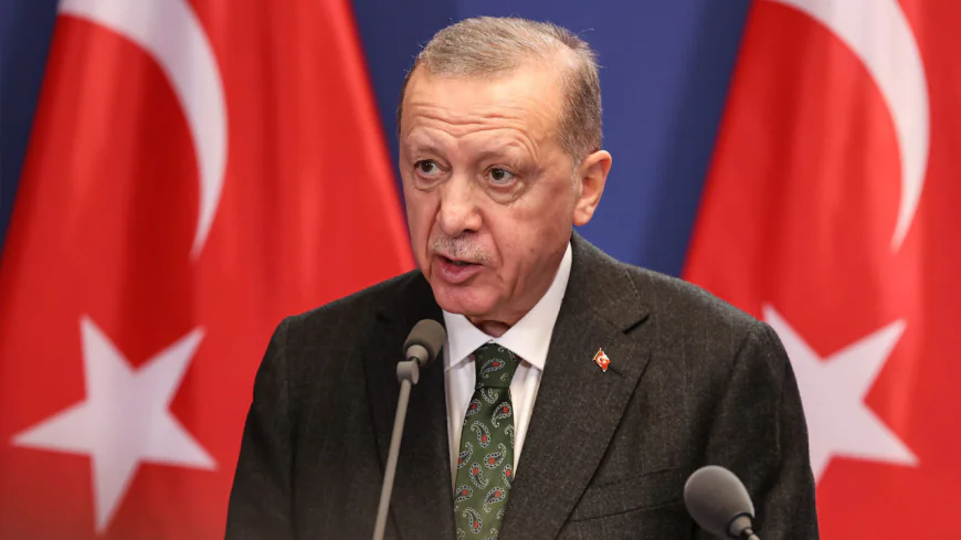 গাজায় গণহত্যা নিয়ে যারা নীরব থাকবে তারাই এর সাথে জড়িত: এরদোয়ান