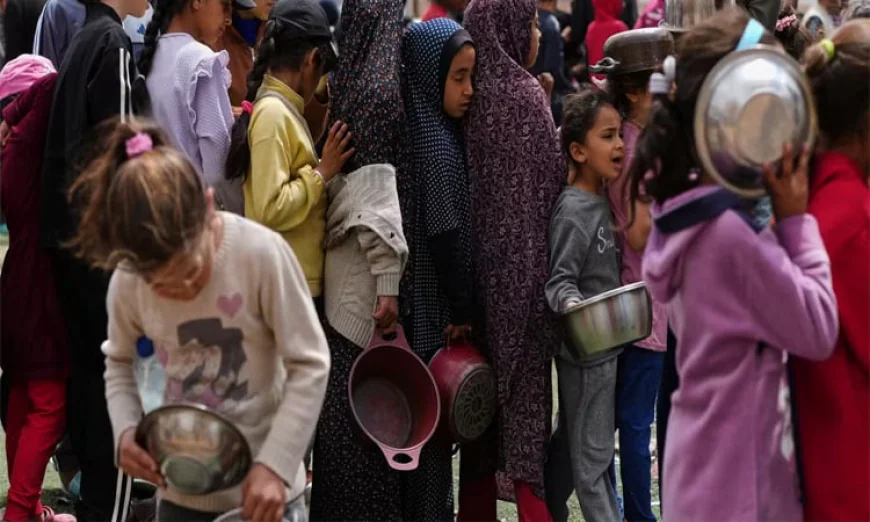 গাজায় ভয়াবহ দুর্ভিক্ষ, শতাধিক এনজিওর সতর্কতা