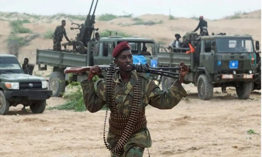 সোমালি সেনাবাহিনী ও আঞ্চলিক বাহিনীর মধ্যে সংঘর্ষে নিহত ৫