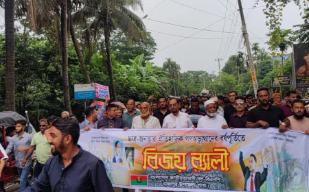 রাজাপুরে জুলাই-আগস্ট অভ্যুত্থান ও বিজয় দিবস উপলক্ষে বিএনপির র‍্যালি ও আলোচনা সভা