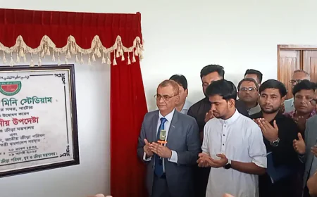 তরুণদের ভাগ্য উন্নয়নে কাজ করছে সরকার : আসিফ মাহমুদ