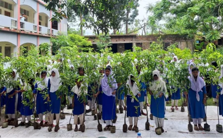 শিক্ষার্থীদের জন্য সাতক্ষীরায় বিনামূল্যে চারা বিতরণ