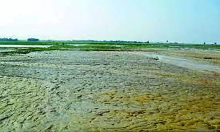 সুনামগঞ্জ হাওরে পানির অভাবে কৃষি ও মৎস্য সংকটে
