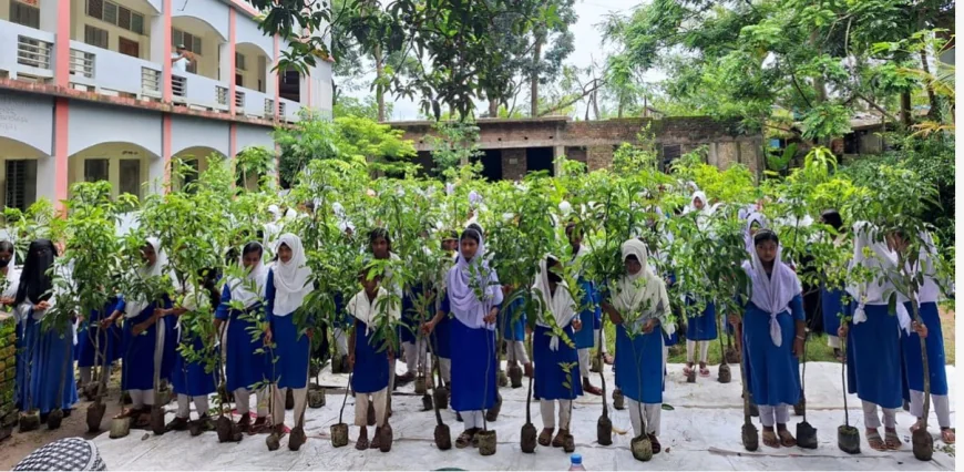 শিক্ষার্থীদের জন্য সাতক্ষীরায় বিনামূল্যে চারা বিতরণ