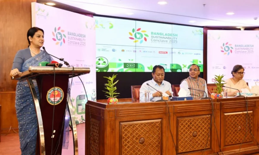 খাদ্য, পানি, বায়ু ও প্রকৃতি সুরক্ষায় বিনিয়োগ বাড়ানোর আহ্বান: রিজওয়ানা হাসান