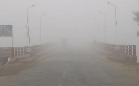 নওগাঁয় বাড়ছে শীত, তাপমাত্রা নামলো ১২.১ ডিগ্রিতে