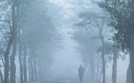 হালকা কুয়াশাসহ সারাদেশে তাপমাত্রা অপরিবর্তিত থাকার সম্ভাবনা