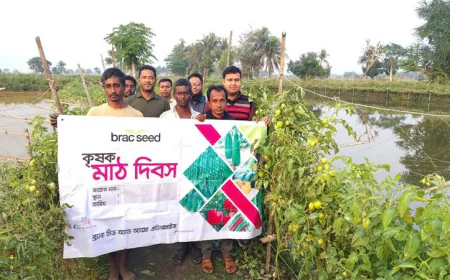 বাগেরহাটে রেড রুবি টমেটোর মাঠ দিবস অনুষ্ঠিত