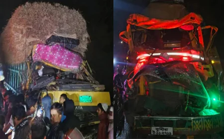 ঝিনাইদহে ২ ট্রাকের মুখোমুখি সংঘর্ষে এক চালক নিহত