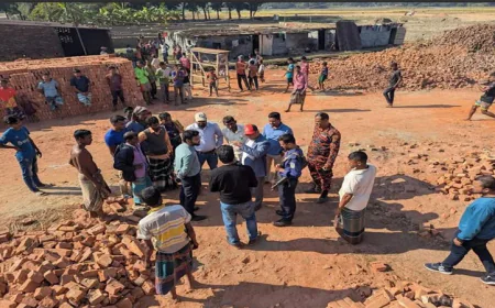 নেত্রকোণায় কৃষি জমির মাটি দিয়ে ইট তৈরি, ৪ ভাটাকে জরিমানা