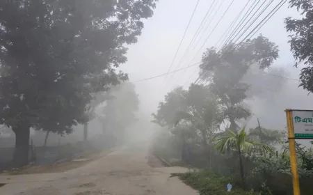 কুড়িগ্রামে হাড়কাঁপানো শীত, তাপমাত্রা নেমে ১১.৪ ডিগ্রি