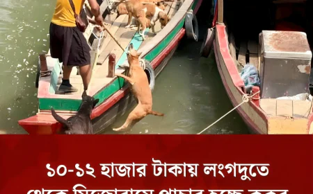 ১০-১২ হাজার টাকায় লংগদুতে থেকে মিজোরামে পাচার হচ্ছে কুকুর